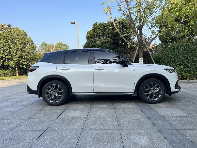 picture8